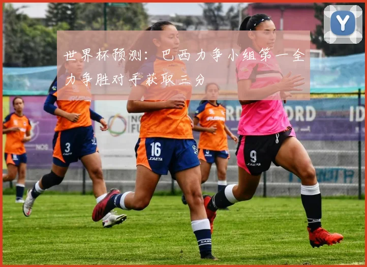 世界杯预测：巴西力争小组第一全力争胜对手获取三分