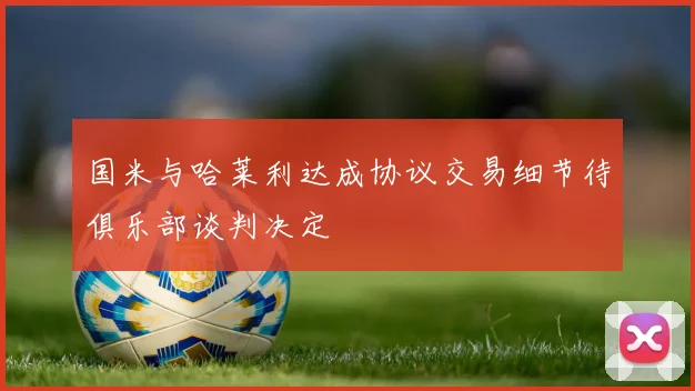 国米与哈莱利达成协议交易细节待俱乐部谈判决定